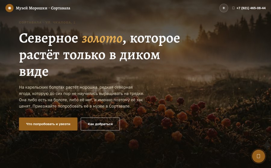 Скриншот сайта Музей Морошки в Сортавале: одна из достопримечательностей Карелии
