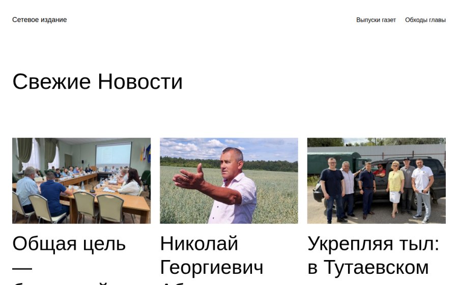 Скриншот сайта Сетевое издание